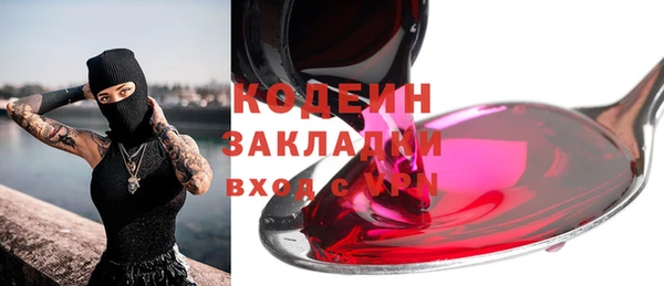 хмурый Алексин