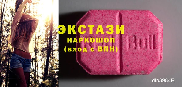 хмурый Алексин