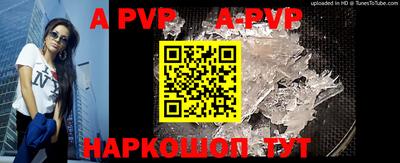 индика Усть-Джегута