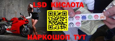 индика Усть-Джегута